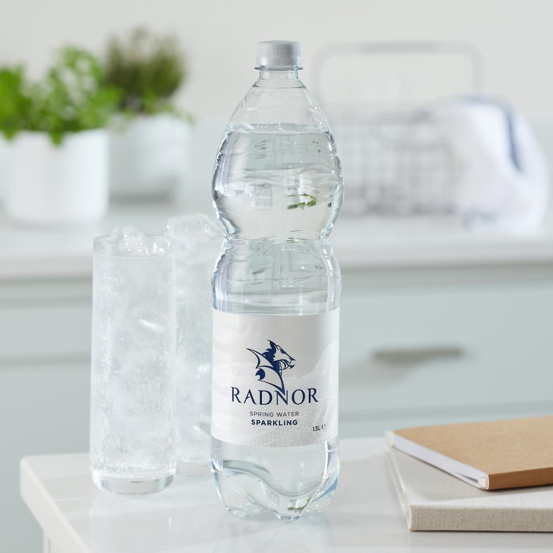 Radnor Hills Sparkling Water 1.5Ltr (12 Pack)