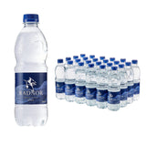 Radnor Hills Still Water 500ml (Pack of 24)