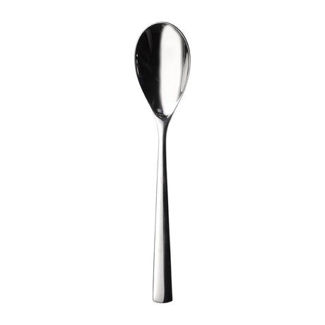 Churchill Evolve Dessert Spoons (12 Pack)