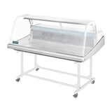 Polar G-Series Fish Display Serve Over Counter Fridge 255Ltr