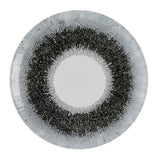 Churchill Studio Prints Fusion Black Evolve Coupe Plates 220mm (12 Pack)