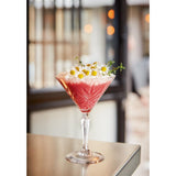 Arcoroc Broadway Martini/Cocktail Stem Glasses 210ml (12 Pack)