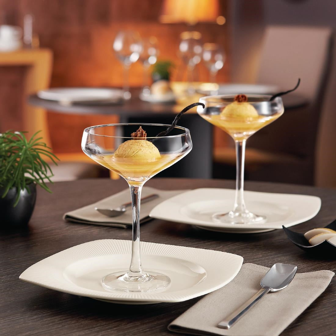Chef & Sommelier Cabernet Cocktail Coupe/Saucers 300ml (12 Pack)