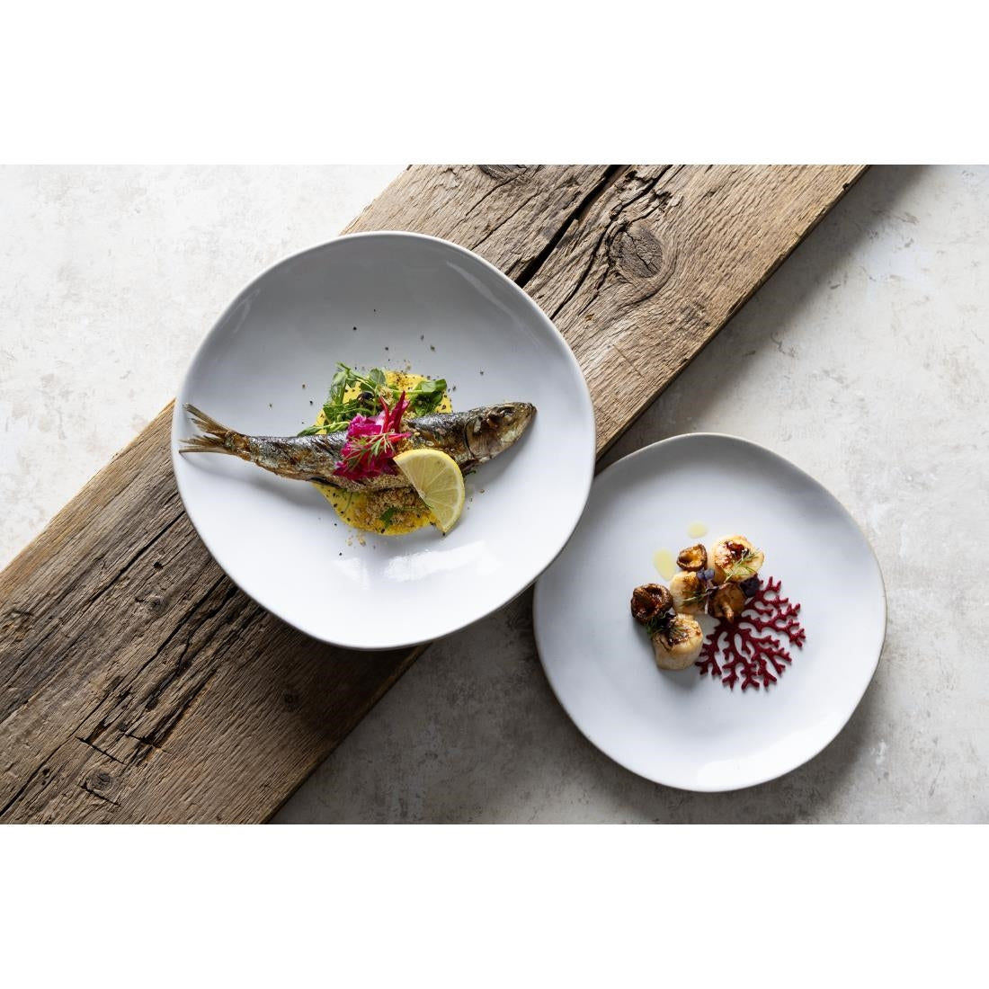 Olympia Raw Recycled Clay Coupe Plates Natural 220mm (6 Pack)