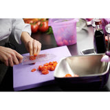 Pujadas Purple Polinorm Gastronorm Lid 1/6GN