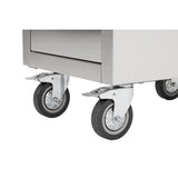 Buffalo Free Standing Electric Fryer 20Ltr