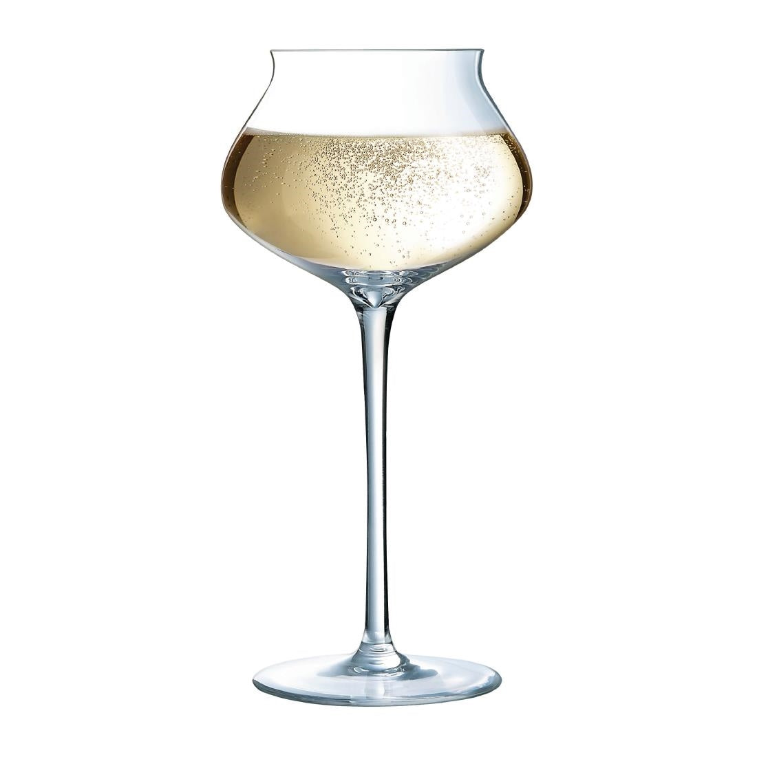 Arcoroc Macaron Fascination Champagne Flutes 300ml (24 Pack)