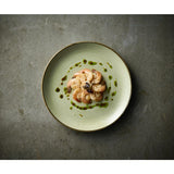 Churchill Stonecast Raw Green Evolve Coupe Plates 260mm (12 Pack)