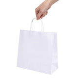 Fiesta Recyclable Twist Handle White Paper Bags Small (250 Pack)