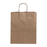 Fiesta Recyclable Twist Handle Brown Paper Bags Large (250 Pack)