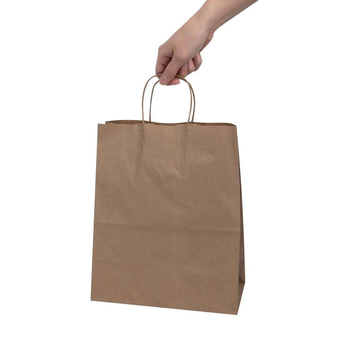 Fiesta Recyclable Twist Handle Brown Paper Bags Large (250 Pack)