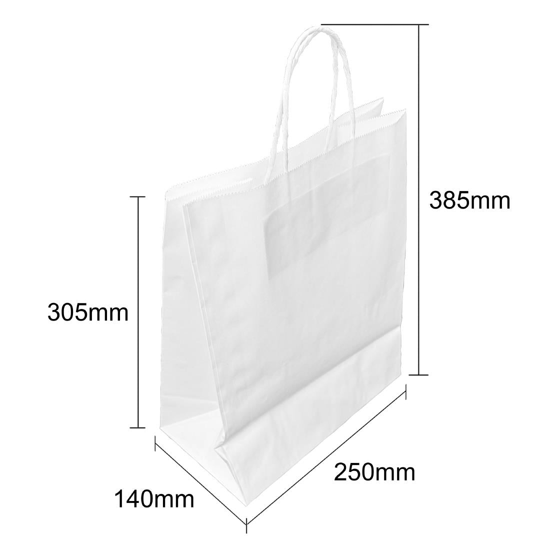 Fiesta Recyclable Twist Handle White Paper Bags Large (250 Pack)