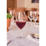 Chef & Sommelier Evidence Wine Glasses 450ml (24 Pack)