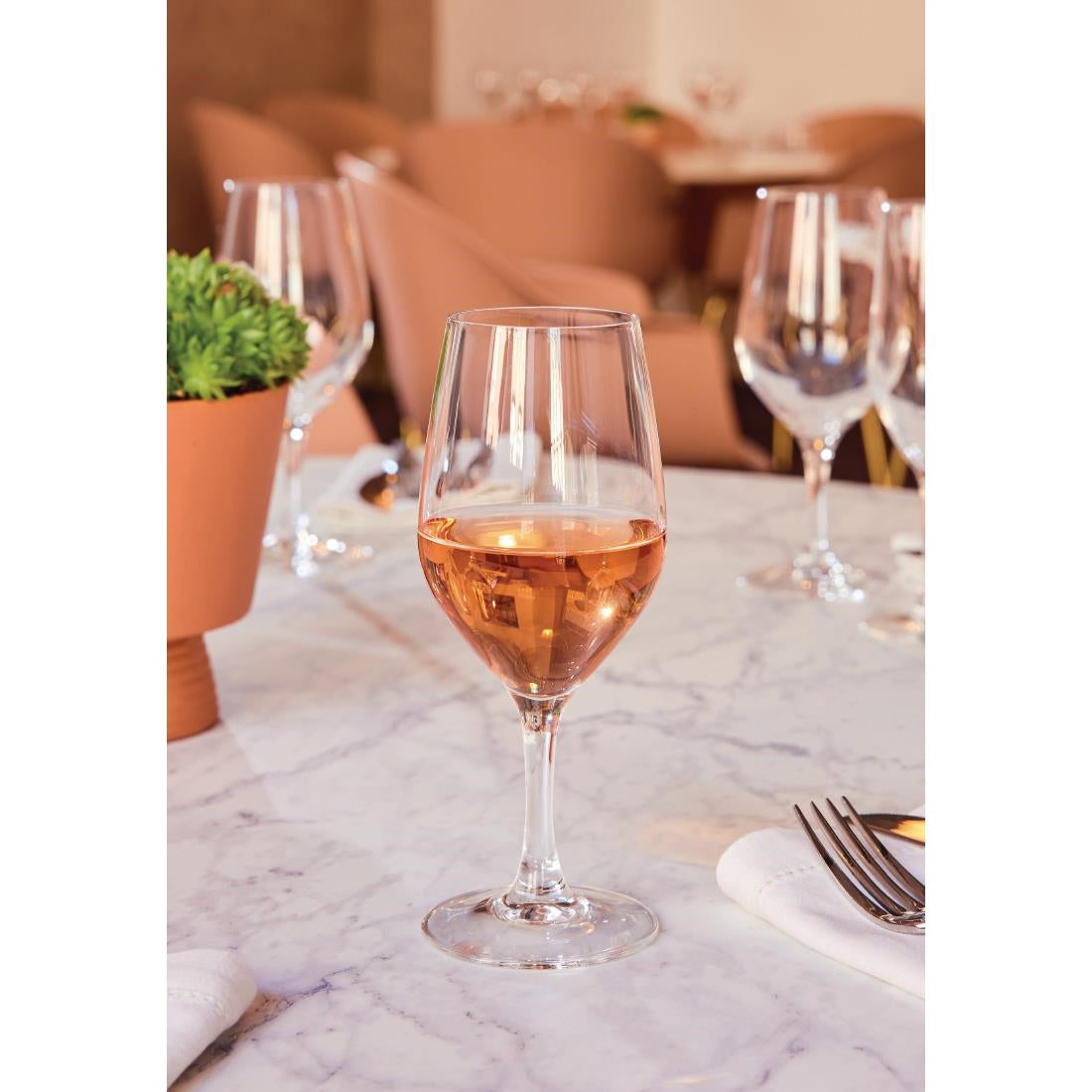 Chef & Sommelier Evidence Wine Glasses 270ml (24 Pack)