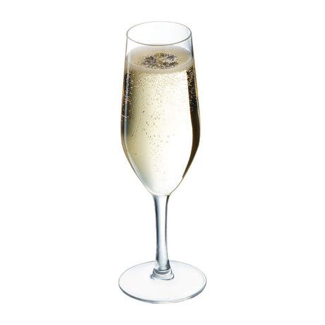 Chef & Sommelier Evidence Flute Glasses 160ml (24 Pack)