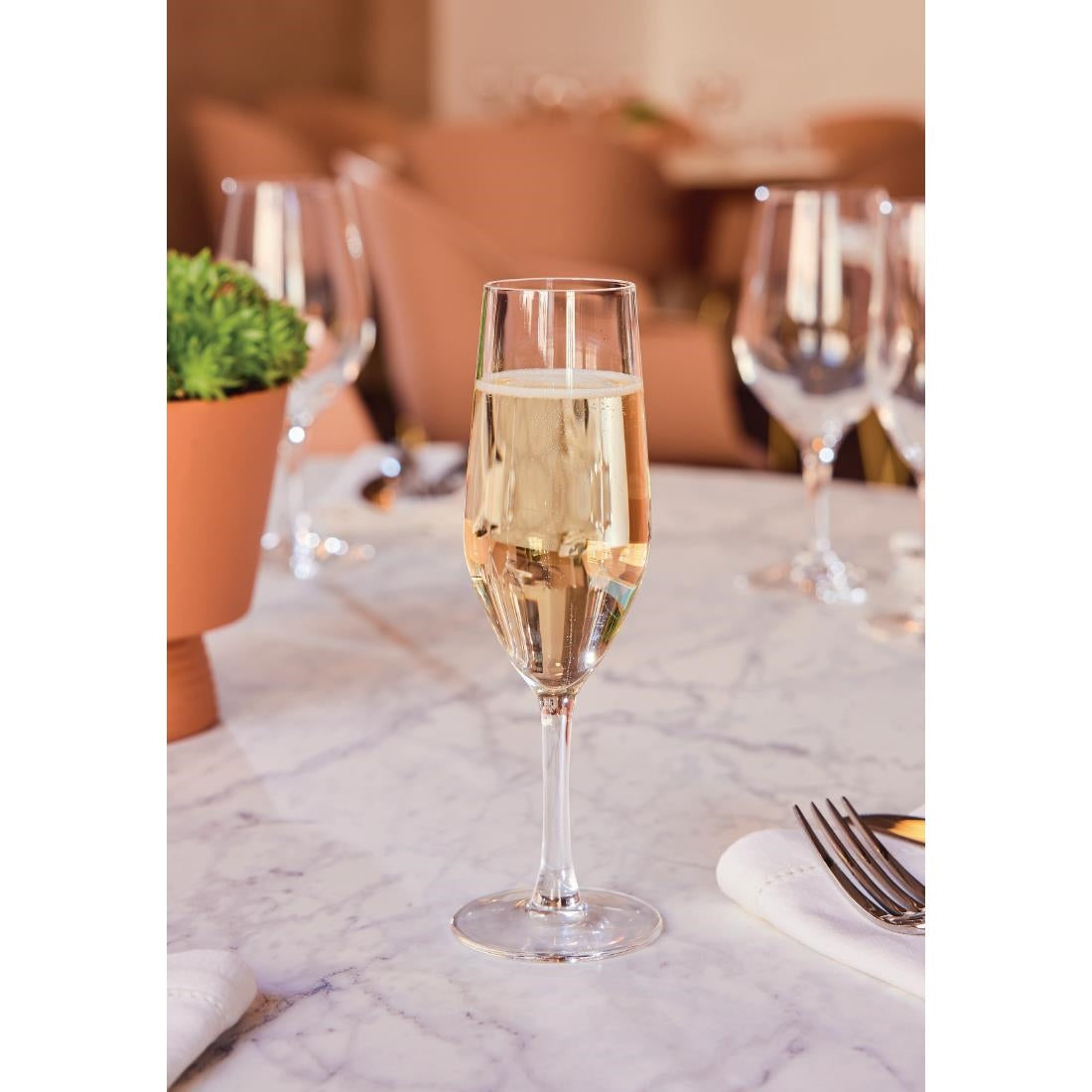 Chef & Sommelier Evidence Flute Glasses 160ml (24 Pack)