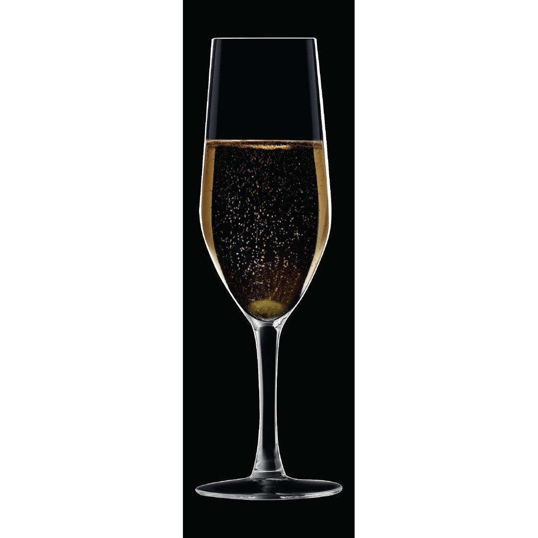 Chef & Sommelier Evidence Flute Glasses 160ml (24 Pack)