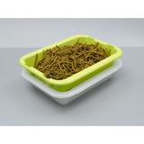 Scaritech Drainage Tray Anis Green 5Ltr