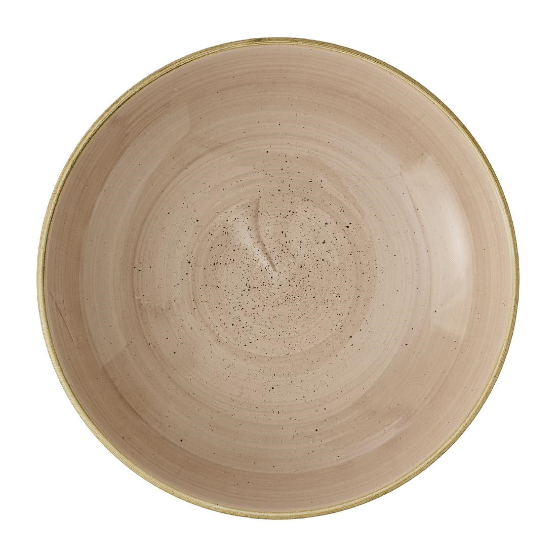 Churchill Stonecast Truffle Evolve Coupe Bowls 248mm (12 Pack)