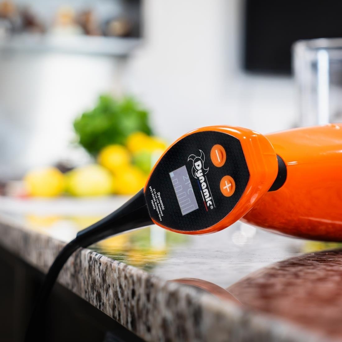 Dynamic Master Variable Speed Stick Blender with Probe MD95+