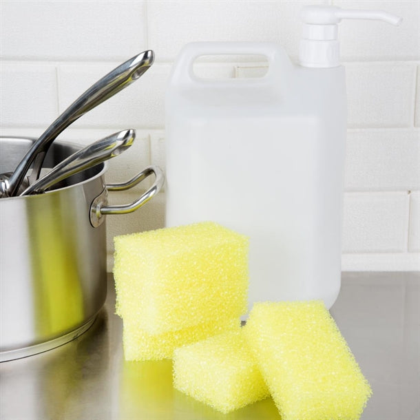 Jantex Dual Sponge Scourers (10 Pack)