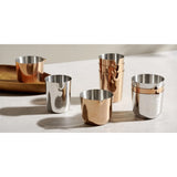 APS Allure Pourers Silver 30ml (4 Pack)