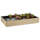 APS Valo GN 1/1 Insert 515x310x60mm