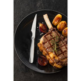 Steak Knife 220mm ( 12 Pack)