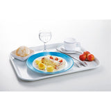 Arcoroc Brush Plates Blue 235mm (24 Pack)