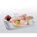 Arcoroc Brush Plates Orange 252mm (12 Pack)