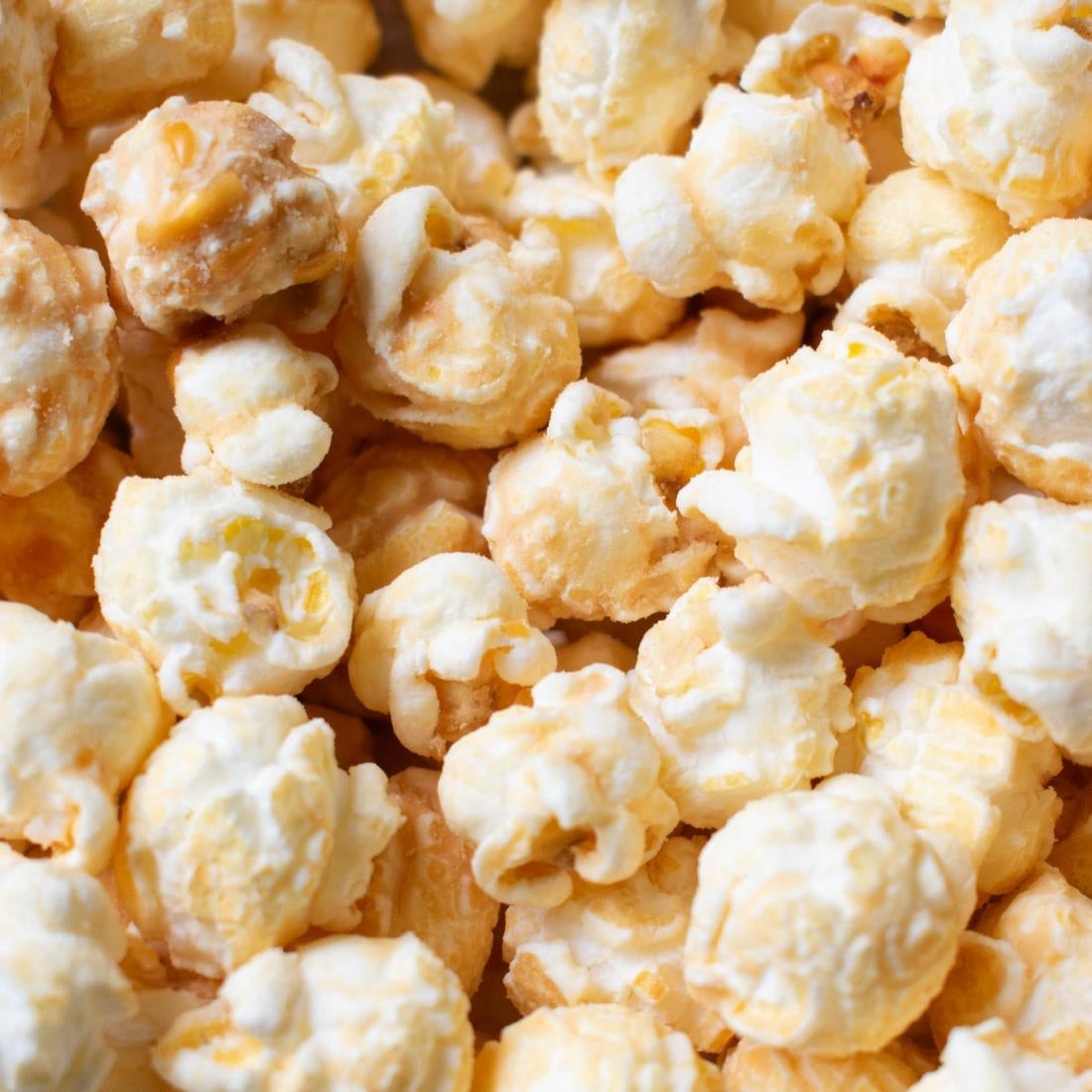 Popcorn Shed Say Cheese! Popcorn Snack Pack 16g (16 Pack)