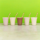 Dinoshakes Sugar Free Vanilla Milkshake Mix 1Ltr