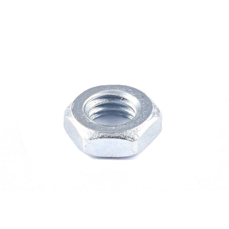 Santos Juice Extractor Nut