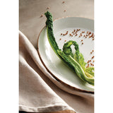 Steelite Brown Dapple Oval Coupe Plates 305mm (12 Pack)