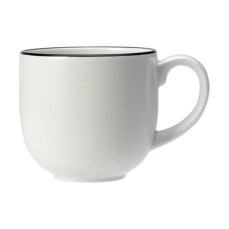 Steelite Asteria City Mugs 285ml (12 Pack)