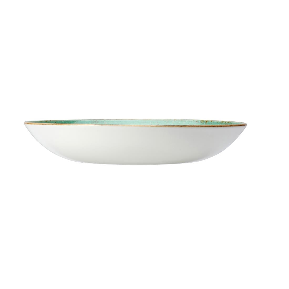 Steelite Craft Aqua Coupe Bowls 255mm (12 Pack)