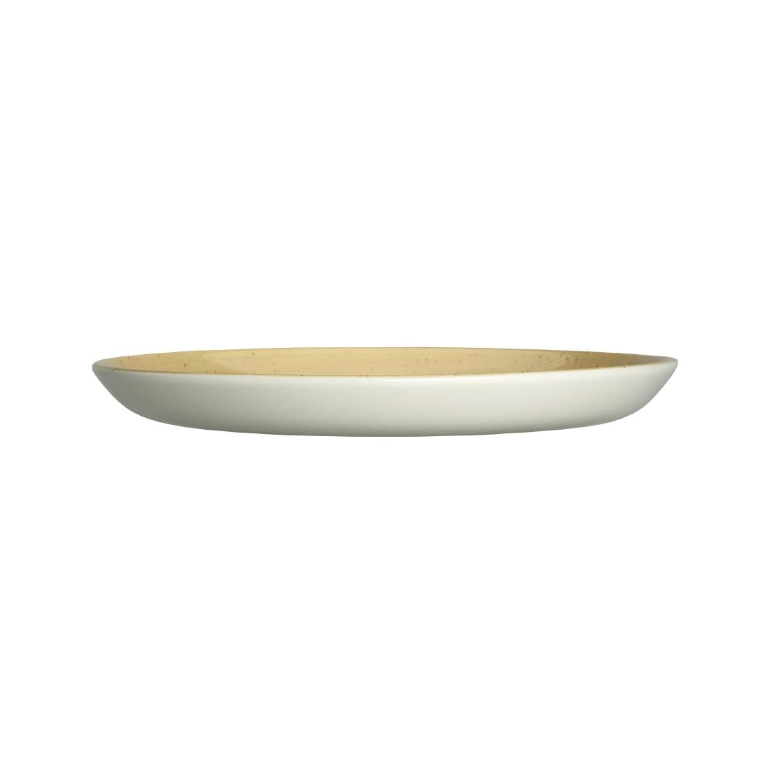 Steelite Amari Dijon Nordic Coupe Plates 252mm (12 Pack)