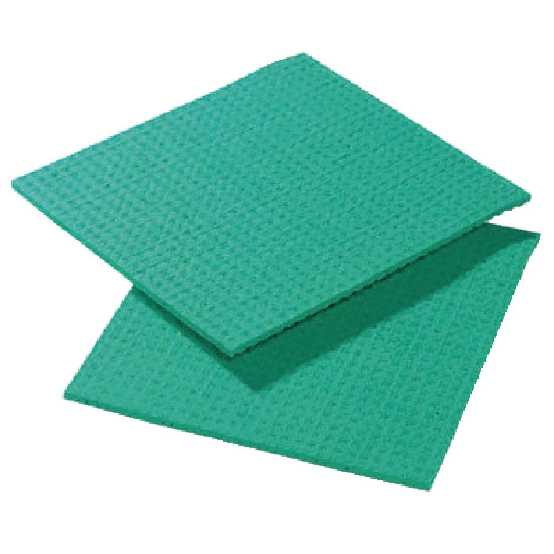 Spontex Spongyl Green (Pack of 10)