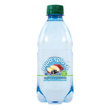 Radnor Splash Sparkling Apple & Raspberry (24x330ml)