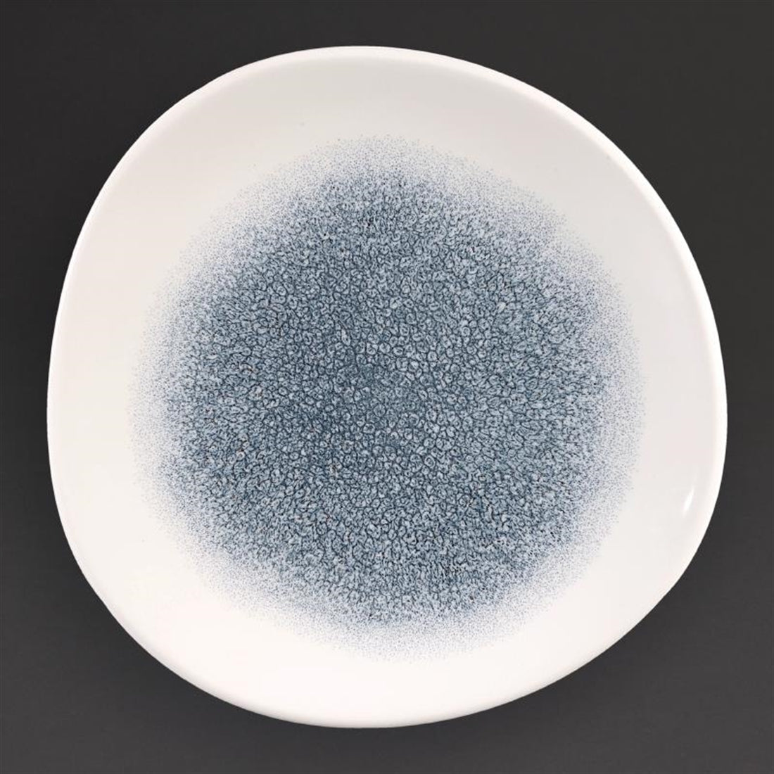Churchill Studio Prints Raku Round Trace Plates Topaz Blue 210mm (12 Pack)