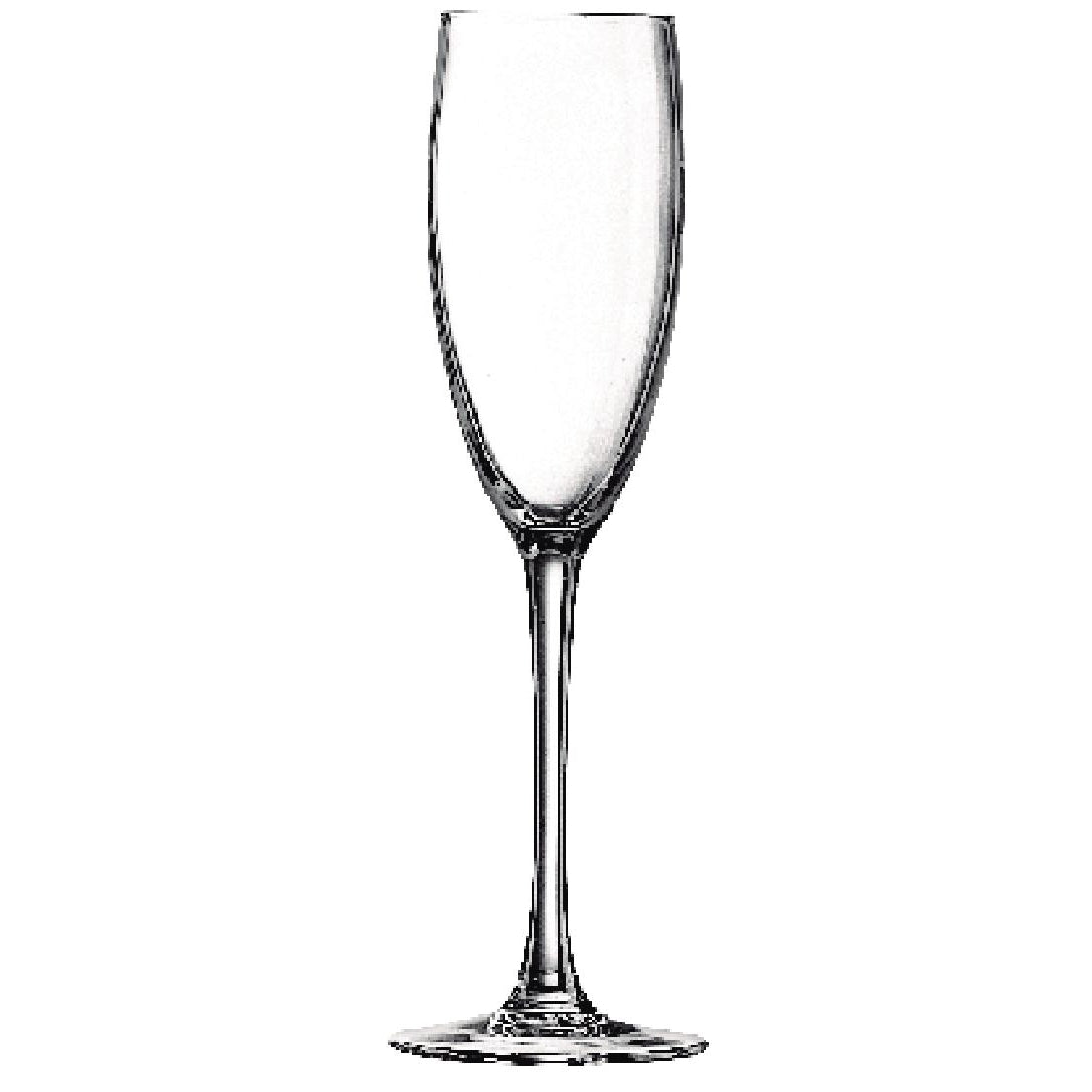 Chef & Sommelier Cabernet Tulip Champagne Flutes 160ml (Pack of 24)