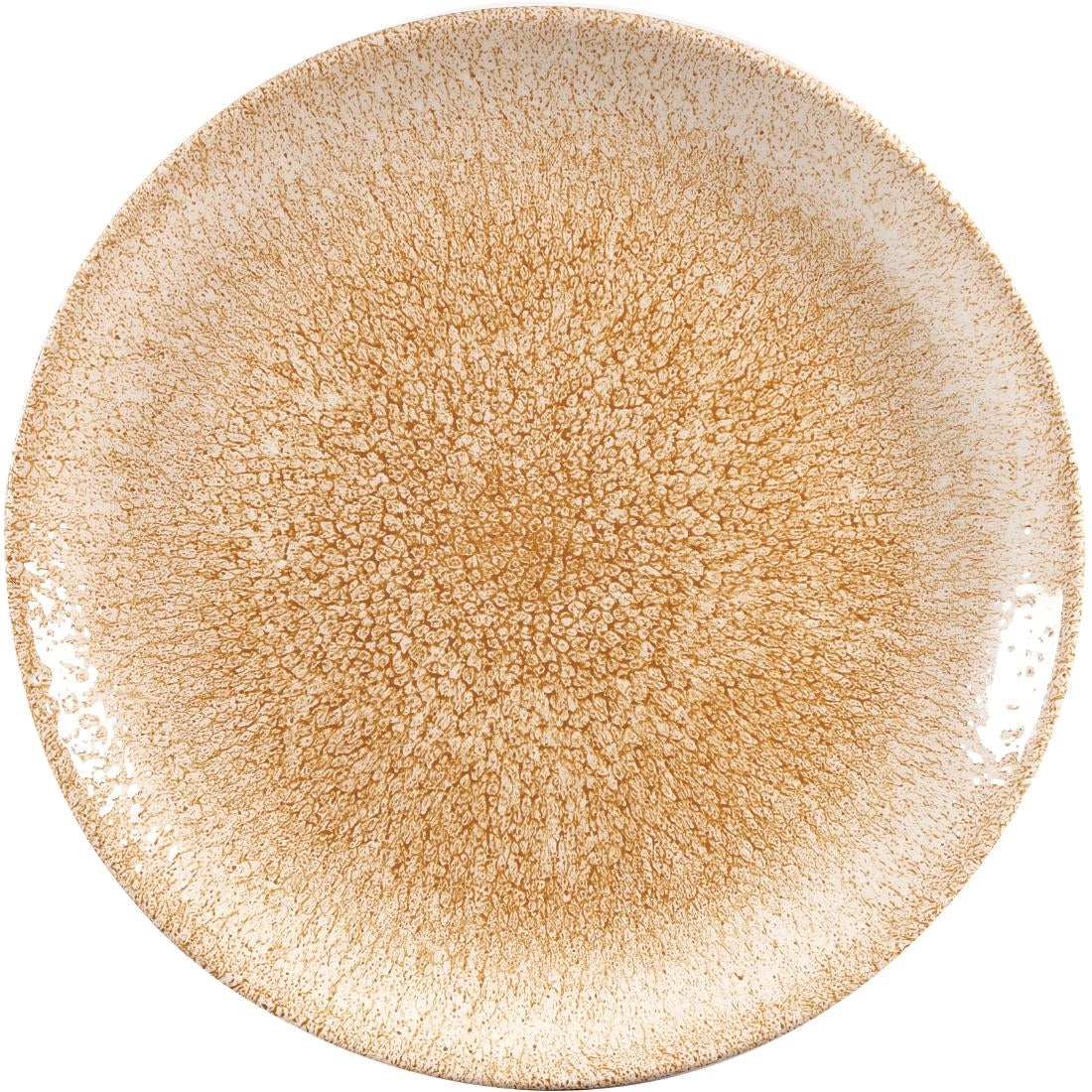 Churchill Studio Prints Raku Coupe Plates Garnet Orange 260mm (12 Pack)