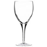 Luigi Bormioli Michelangelo Wine Crystal Glasses 340ml (24 pack)